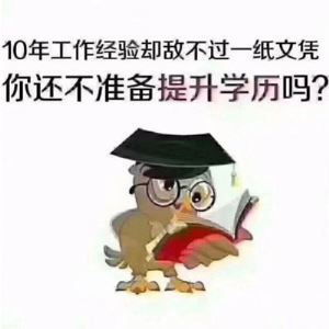 2025年1月自学考试成绩公布：查询与复核全攻略
